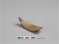 藏品(椰殼匙)的圖片